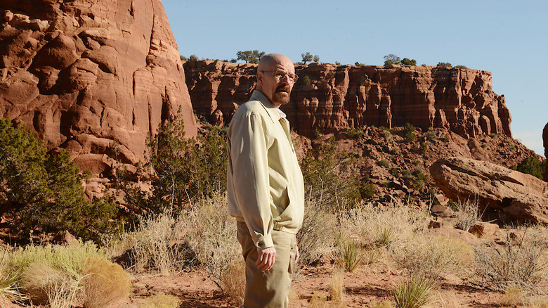 Walter White (Bryan Cranston) stands in the middle of the desert in Breaking Bad